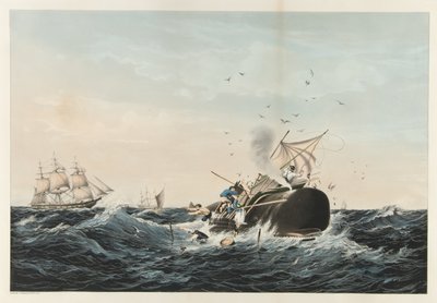 The Whale Fishery - Sperm Whale ?In a Flurry?, pub. 1860 af American School